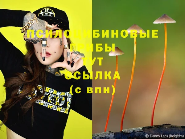 2c-b Алзамай