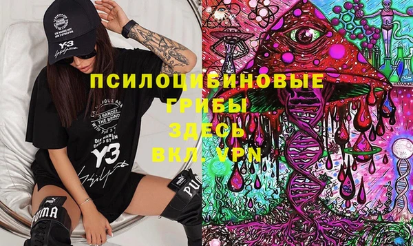 таблы Алексеевка