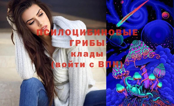 2c-b Алзамай